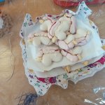 phoca_thumb_m_karneval zajci  95 Fotogalerie